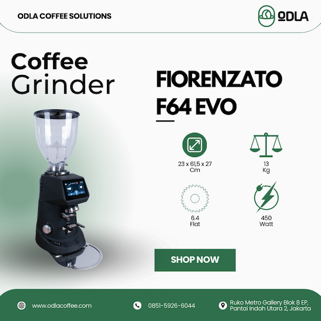 Coffee Grinder Fiorenzato F64 EVO