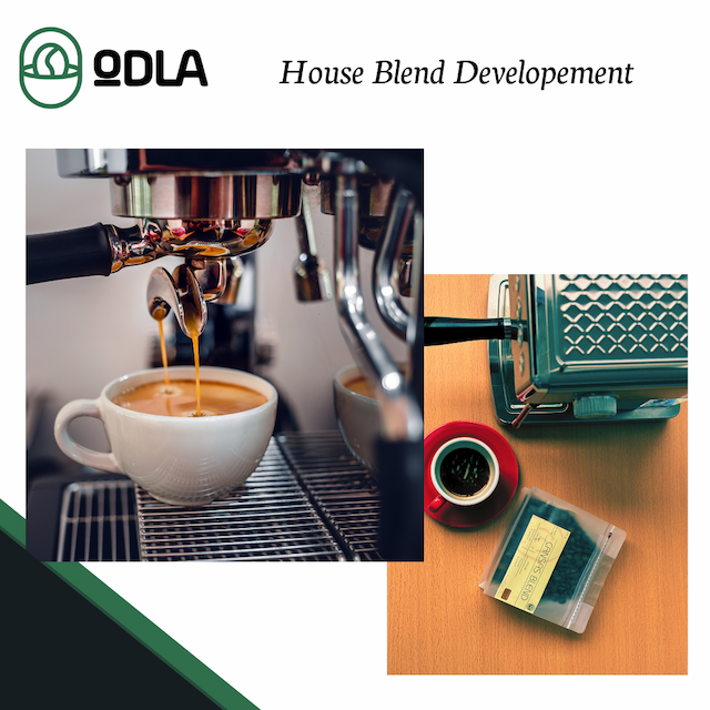House Blend Developement